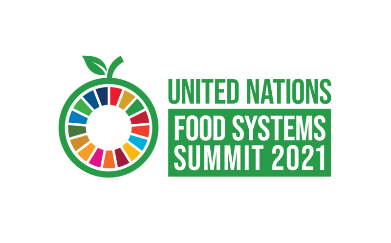 UN Food Systems Summit