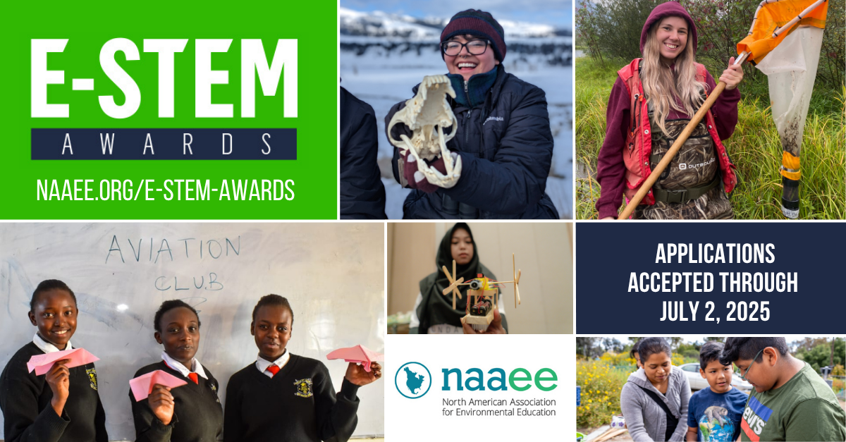 Image of Global E-STEM Awards