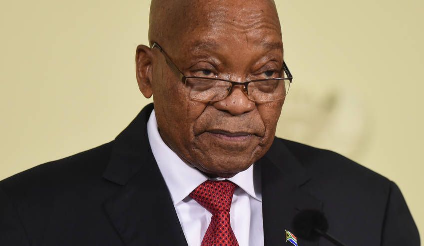 zuma, jacob zuma, young leaders, south africa, president