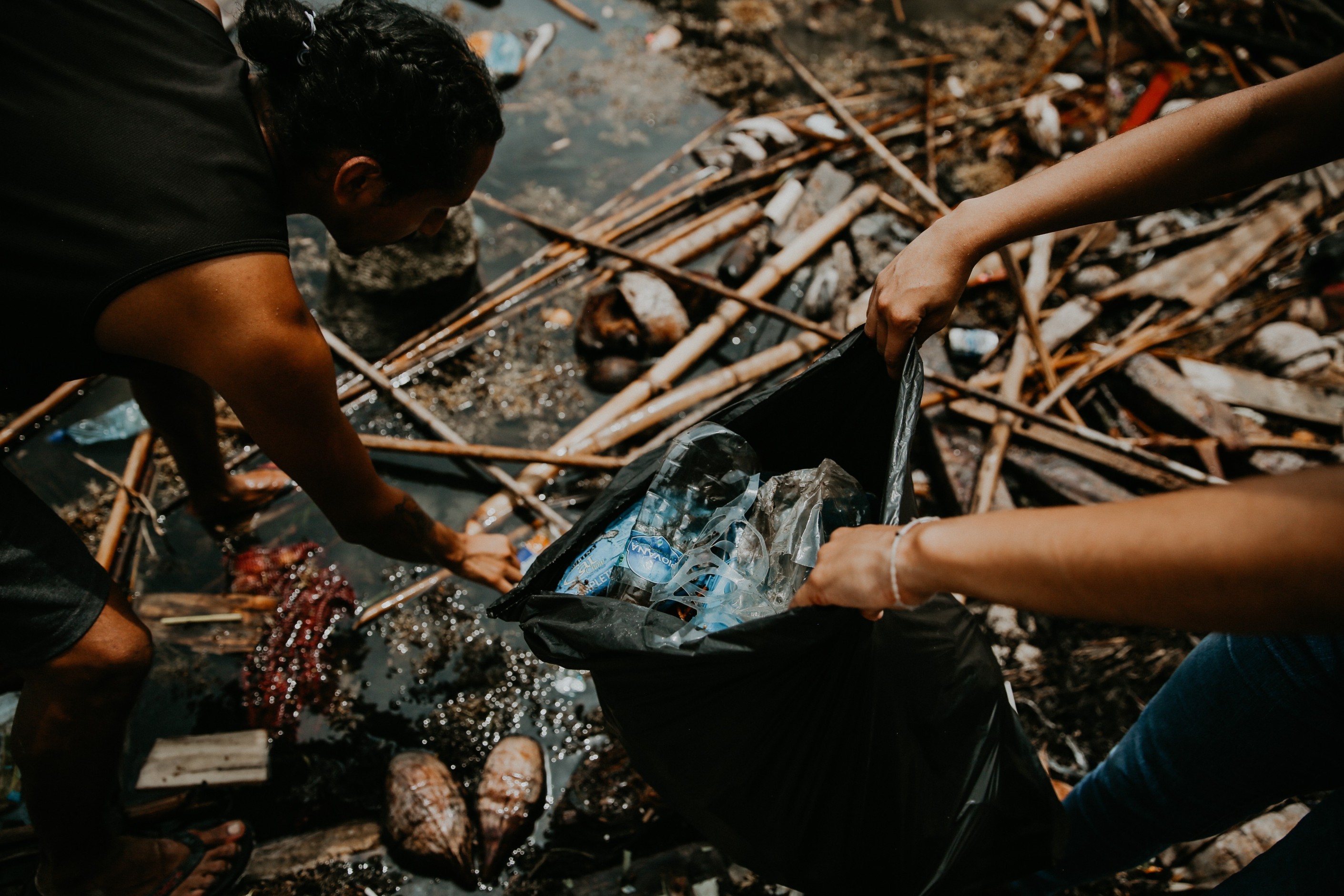 Diwigdi collecting rubbish 