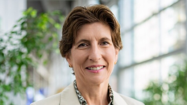 Ilka Horstmeier portrait profile photo