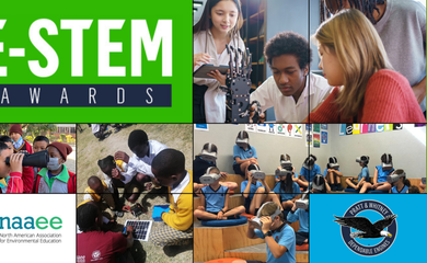 2024 Global E-STEM Awards